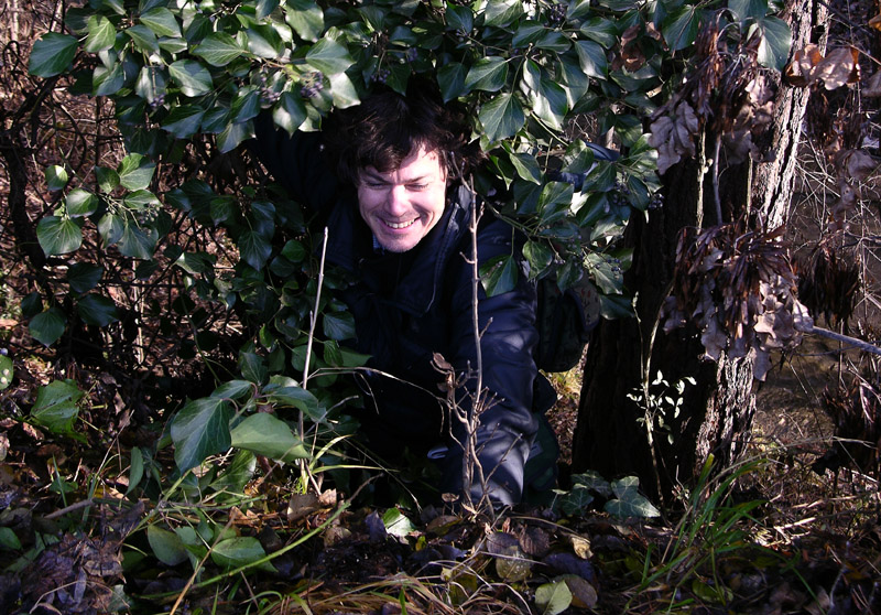 A caccia di Pleurotus ostreatus.....chiamati i  geloni...